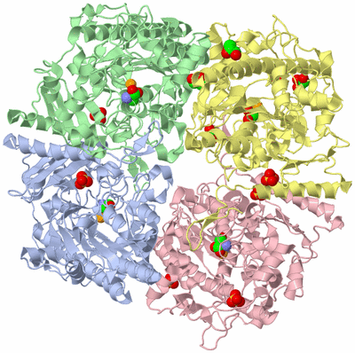 Image Asym./Biol. Unit