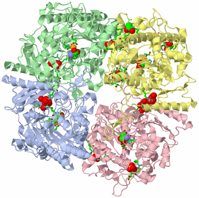 Image Asym./Biol. Unit - sites