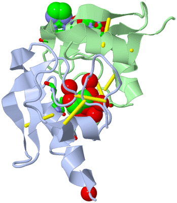 Image Asym./Biol. Unit - sites