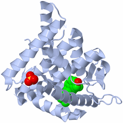 Image Biological Unit 1