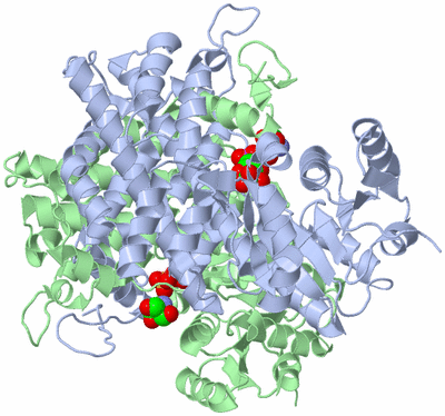 Image Asym./Biol. Unit