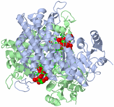 Image Asym./Biol. Unit - sites