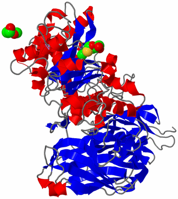 Image Asym./Biol. Unit