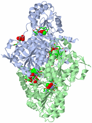 Image Biol. Unit 1 - sites