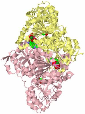 Image Biological Unit 2