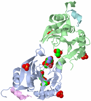 Image Asym./Biol. Unit