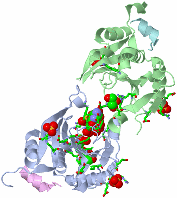 Image Asym./Biol. Unit - sites