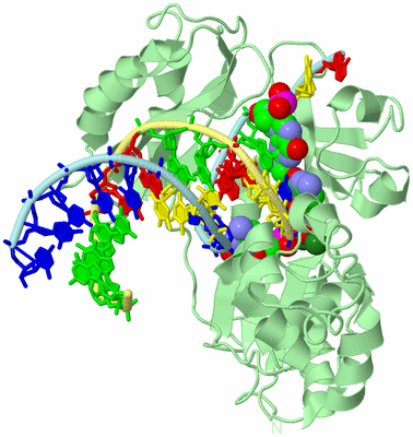 Image Biological Unit 2