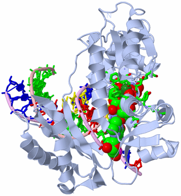 Image Biol. Unit 1 - sites