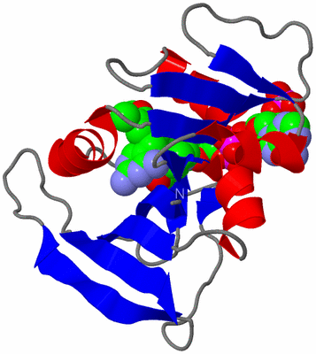 Image Asym./Biol. Unit