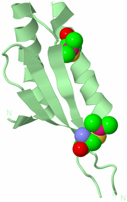 Image Biological Unit 2