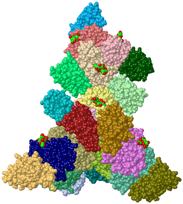 Image Asym./Biol. Unit