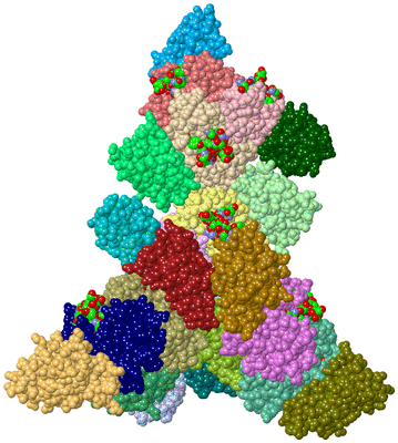 Image Asym./Biol. Unit - sites