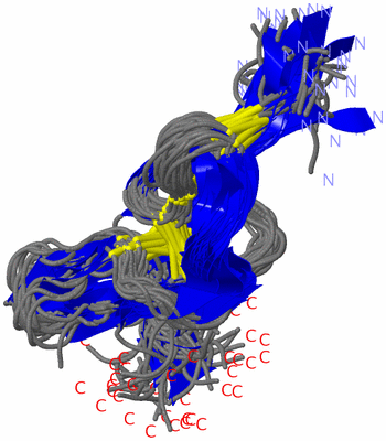 Image NMR Structure - all models