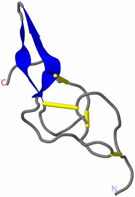 Image NMR Structure - model 1