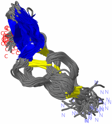 Image NMR Structure - all models