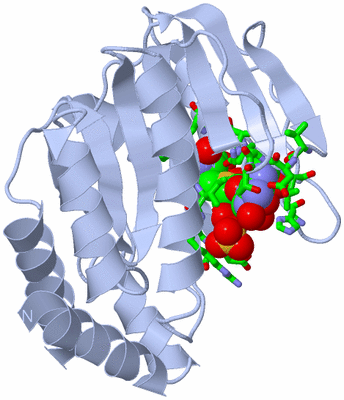 Image Biol. Unit 1 - sites