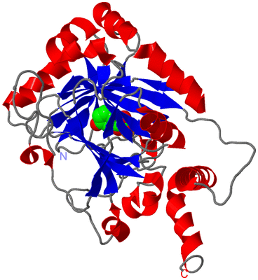 Image Asymmetric Unit