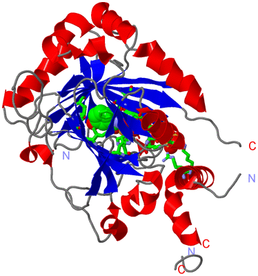 Image Asym. Unit - sites