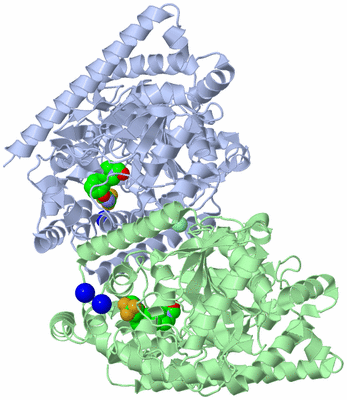 Image Asym./Biol. Unit