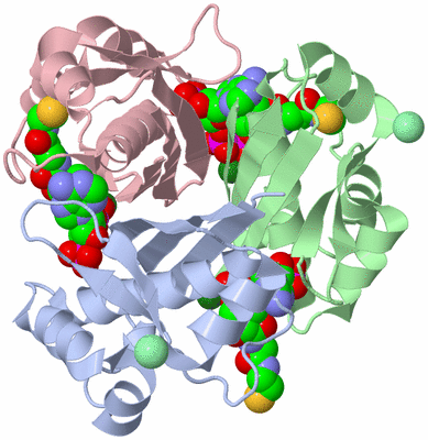 Image Biological Unit 1