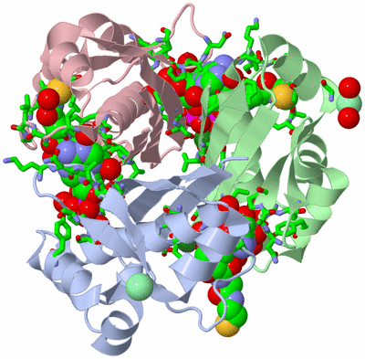 Image Biol. Unit 1 - sites