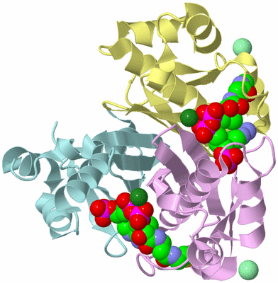 Image Biological Unit 2