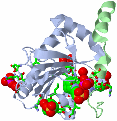 Image Biol. Unit 1 - sites