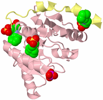 Image Biological Unit 2