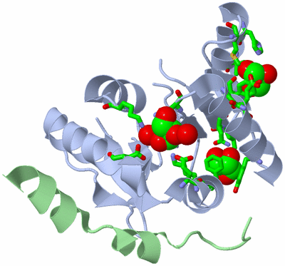 Image Biol. Unit 1 - sites