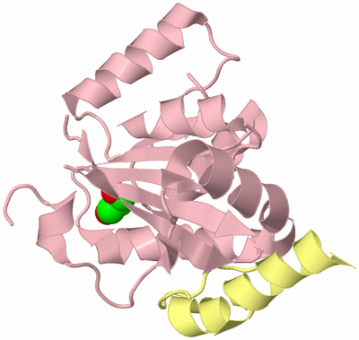 Image Biological Unit 2