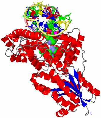 Image Asym./Biol. Unit