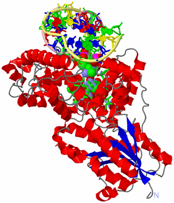 Image Asym./Biol. Unit - sites