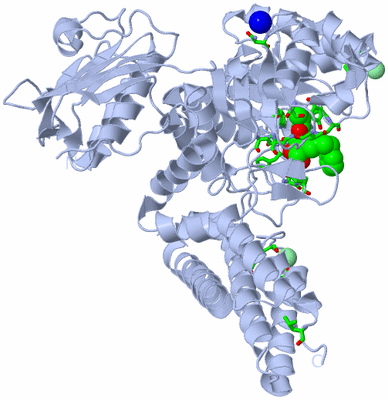 Image Biol. Unit 1 - sites