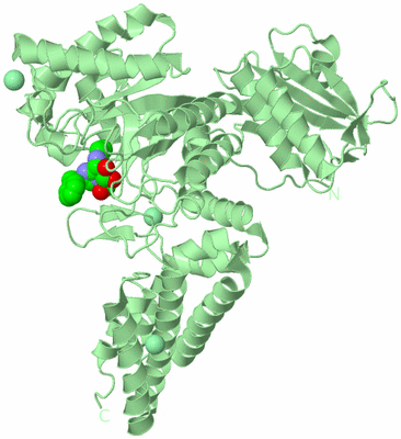 Image Biological Unit 2