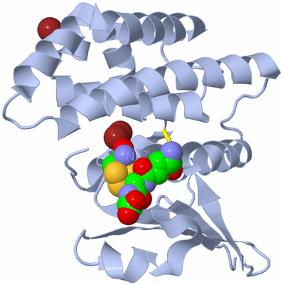 Image Biological Unit 1