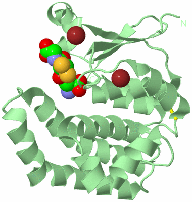 Image Biological Unit 2