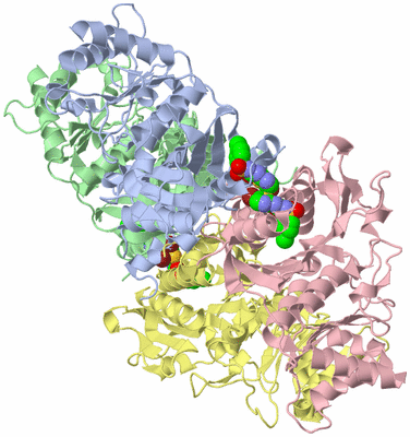 Image Biological Unit 1