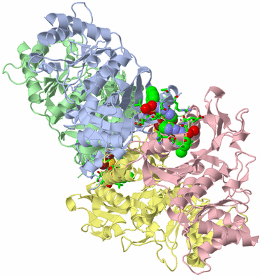 Image Biol. Unit 1 - sites