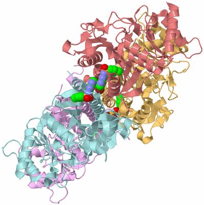 Image Biological Unit 2