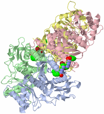 Image Biological Unit 1