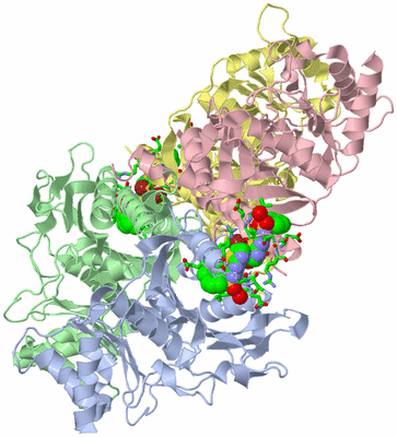 Image Biol. Unit 1 - sites