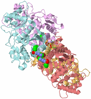 Image Biological Unit 2