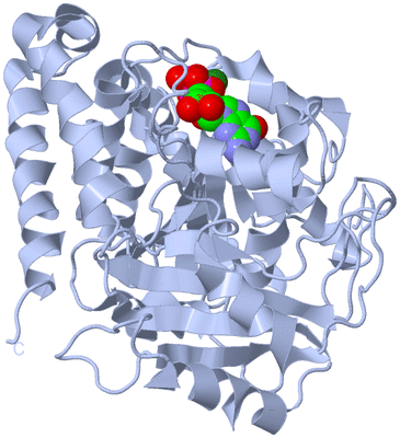 Image Biological Unit 1