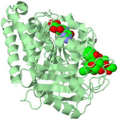 Image Biological Unit 2