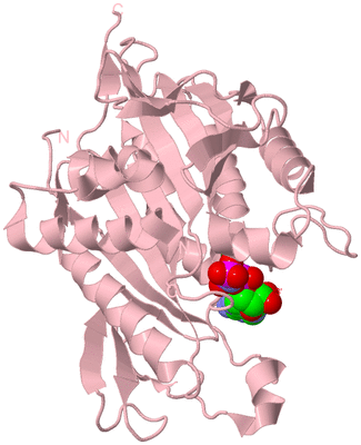 Image Biological Unit 3