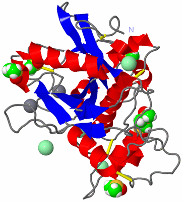 Image Asym./Biol. Unit