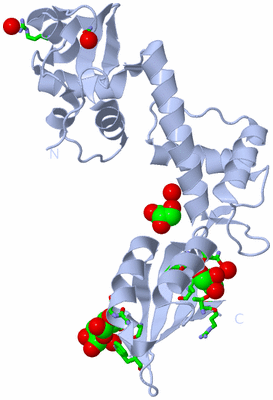 Image Biol. Unit 1 - sites