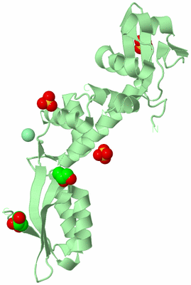 Image Biological Unit 2