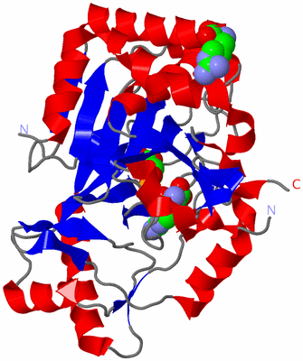 Image Asym./Biol. Unit